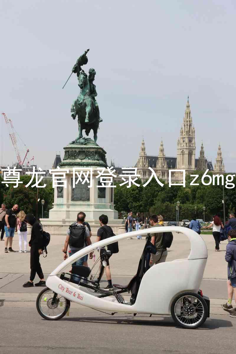 尊龙官网登录入口z6mg
