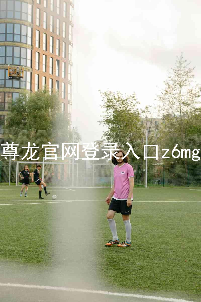 尊龙官网登录入口z6mg